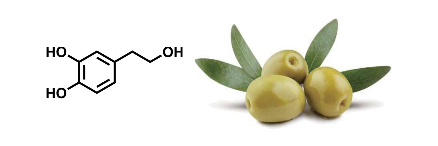 Hydroxytyrosol – der ultimative Immunverstärker für mehr Wohlbefinden