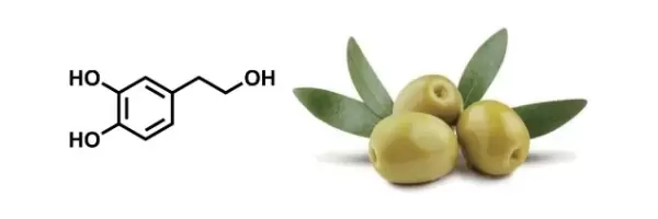 Anti-Aging- und Anti-Falten-Wirkung des Antioxidans Hydroxytyrosol