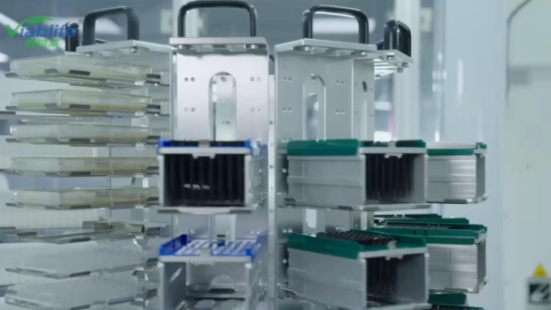 Viablife Nicotinamid-Produktion: Bahnbrechende neue Technologien für eine nachhaltige Zukunft