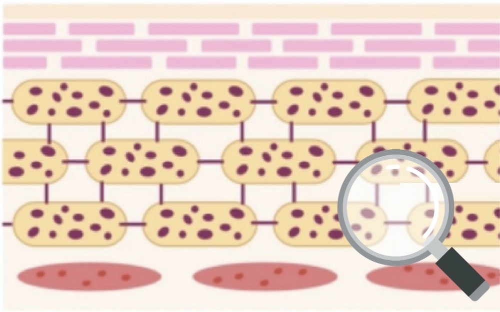 Die duale Revolution: Von der Reparatur zur Resilienz The Dual Revolution: From Repair to Resilience